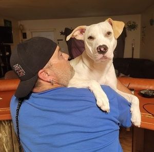 Meet your Posher, Neill